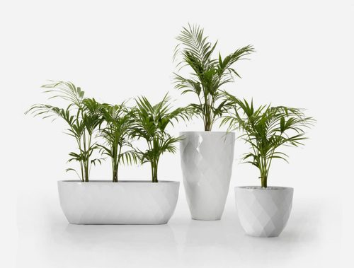Vases Planter ø55x45 Basic